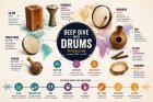 Deep Dive into Drums